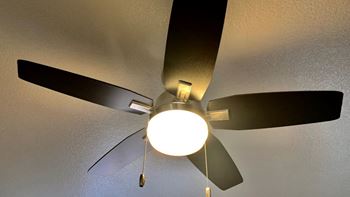 Brand new ceiling fans